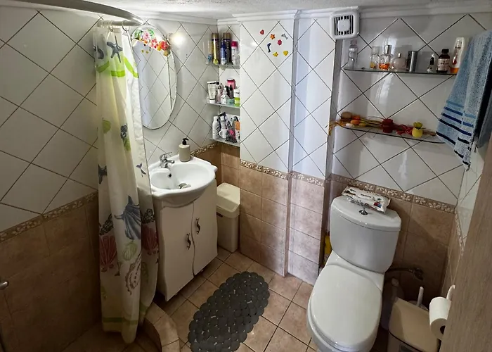 Artemis Palace דירה *